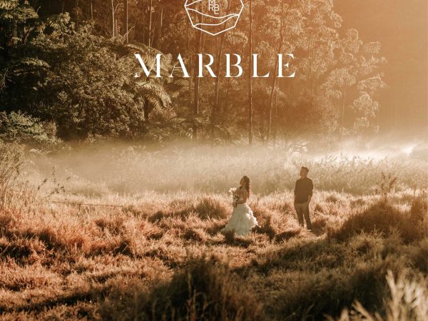 Videographer Listing Category Marble Video